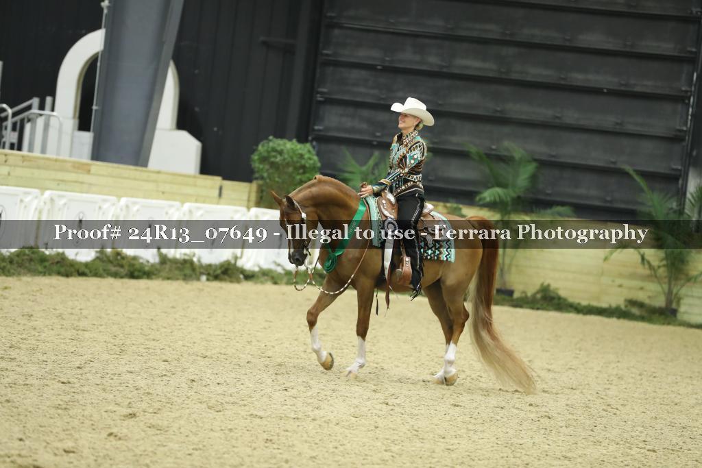 Proof 24R13_07649