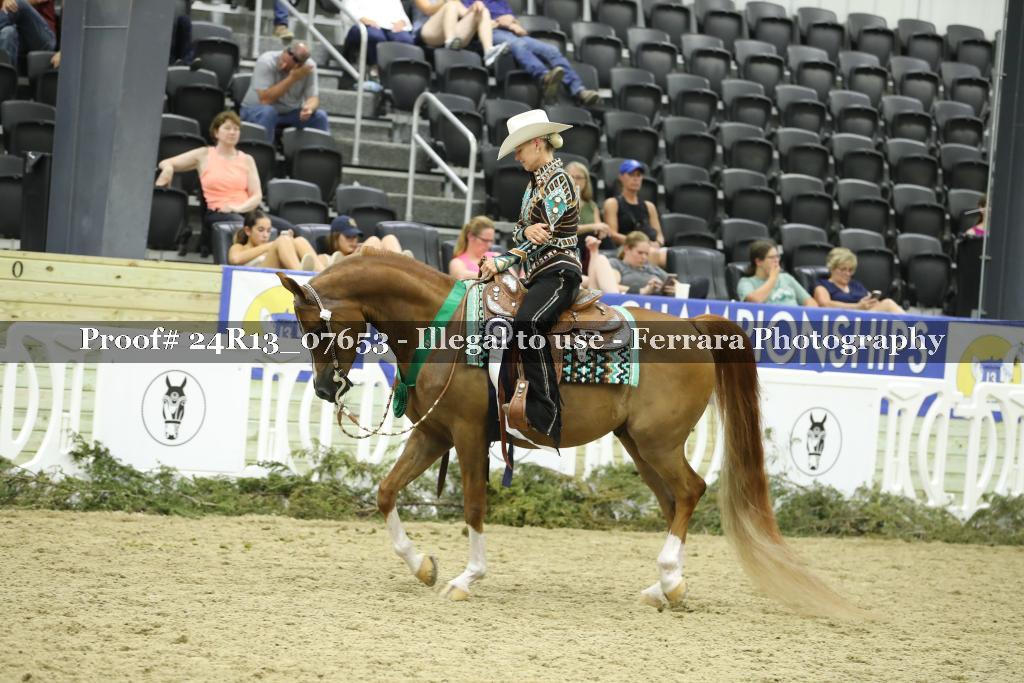 Proof 24R13_07653