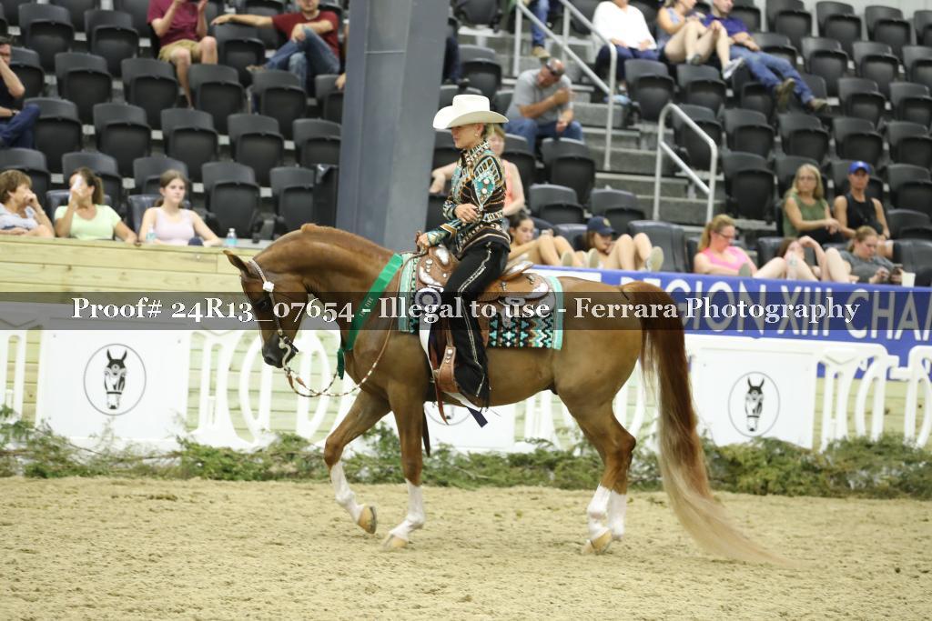 Proof 24R13_07654