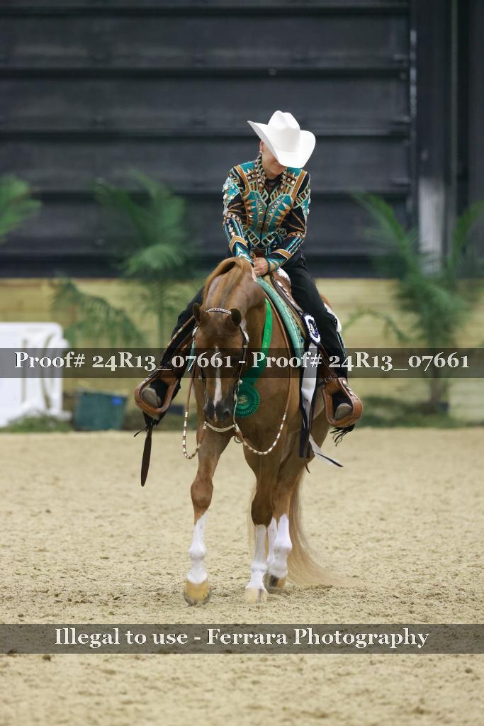 Proof 24R13_07661