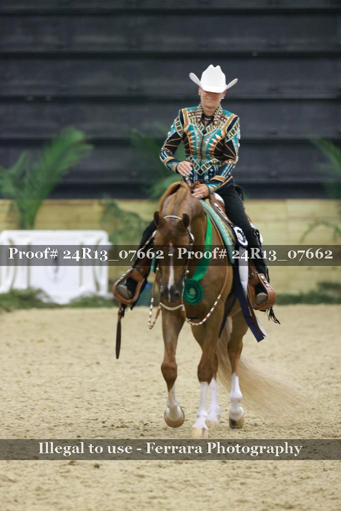 Proof 24R13_07662