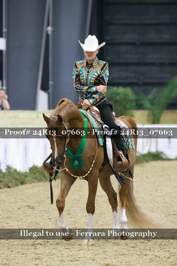 Proof 24R13_07663