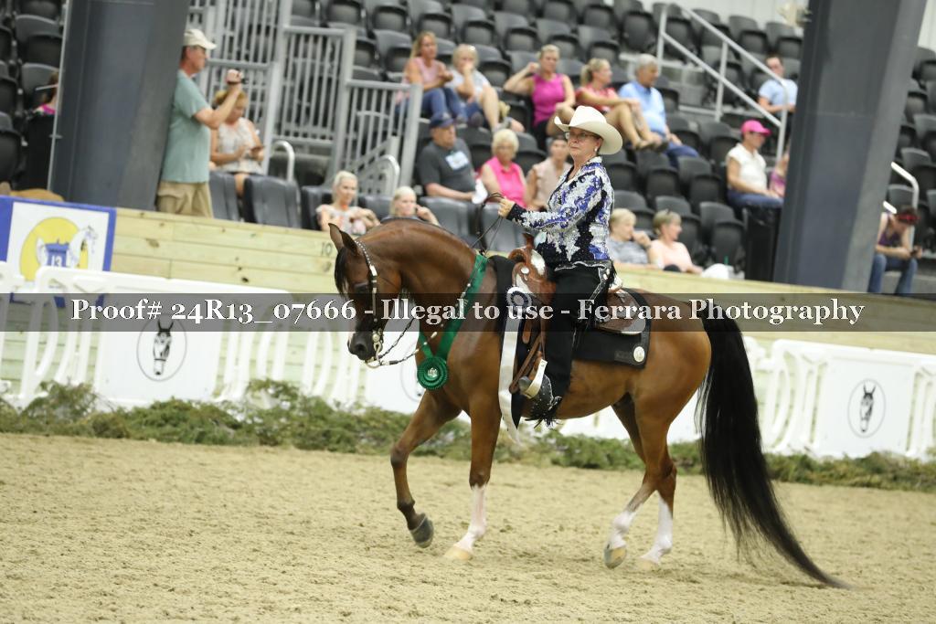 Proof 24R13_07666
