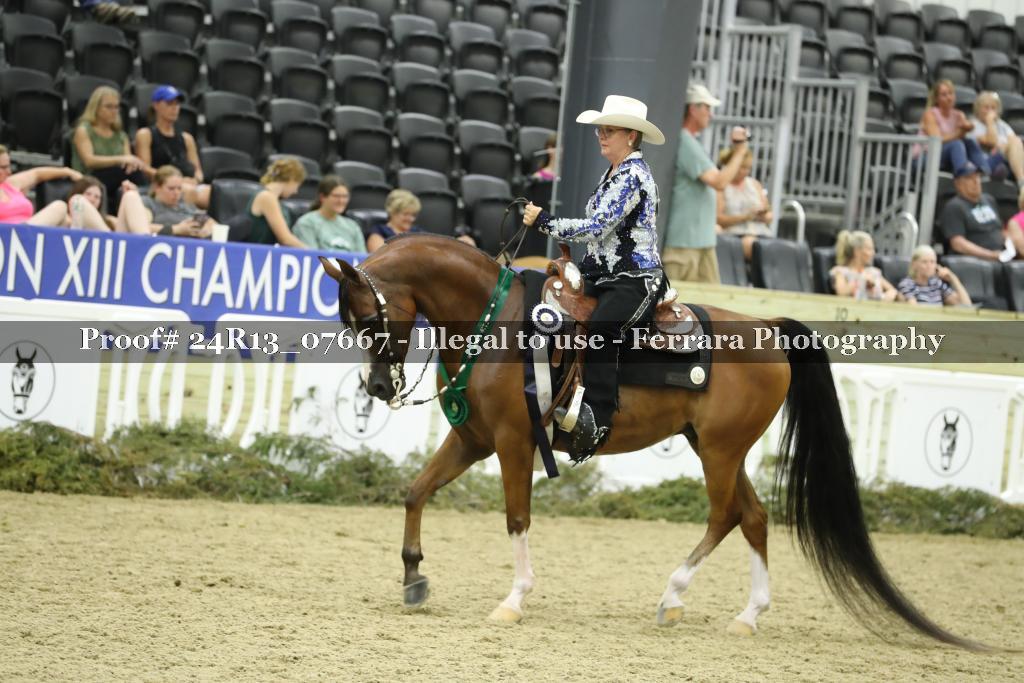 Proof 24R13_07667