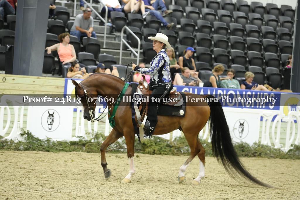 Proof 24R13_07669