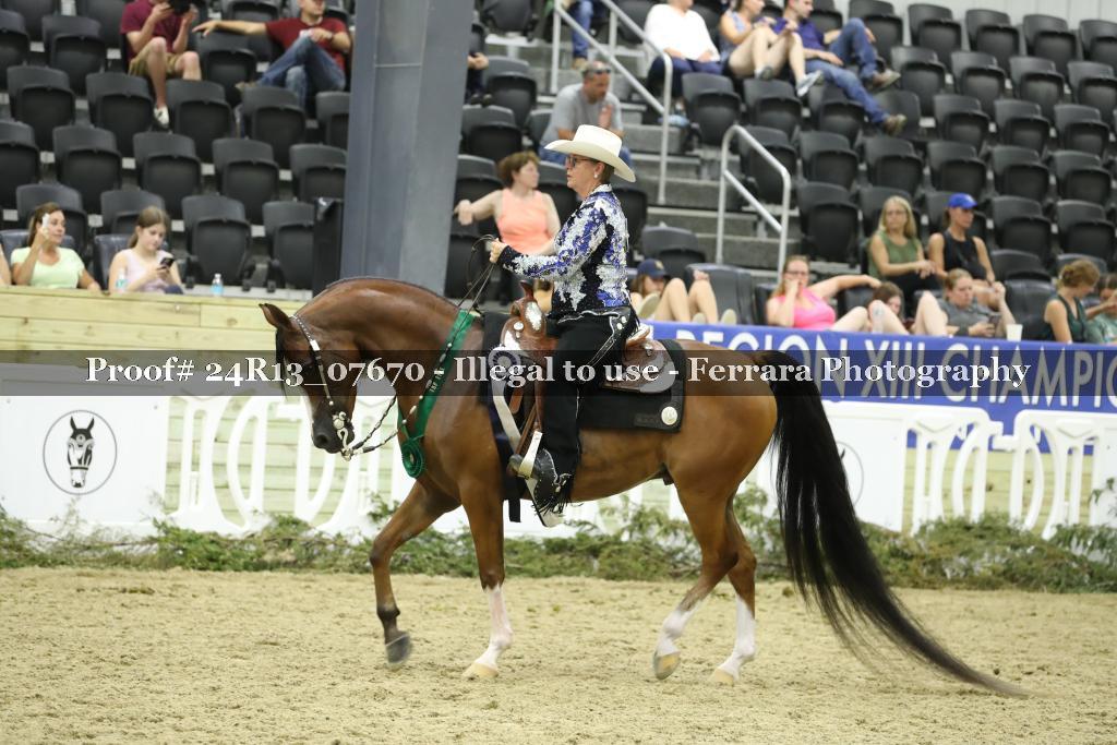 Proof 24R13_07670