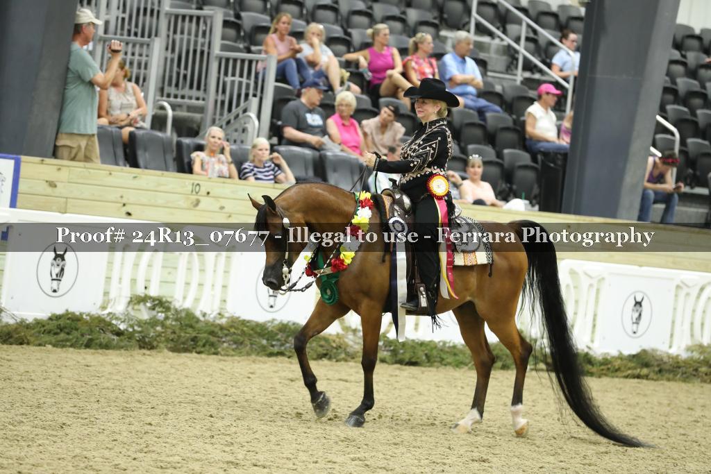 Proof 24R13_07677