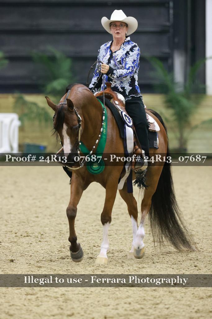 Proof 24R13_07687