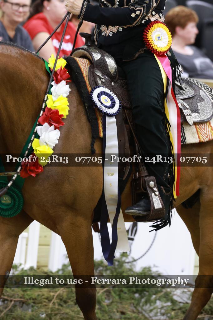 Proof 24R13_07705
