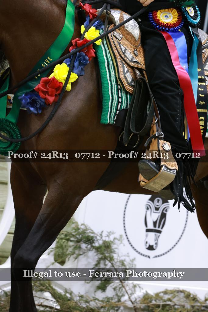 Proof 24R13_07712
