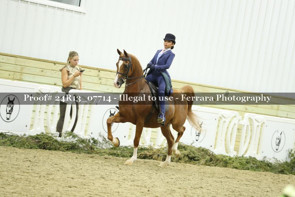 Proof 24R13_07714