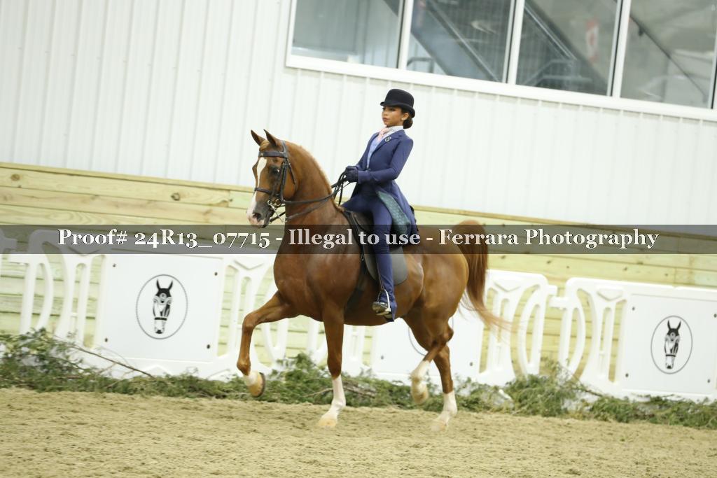 Proof 24R13_07715