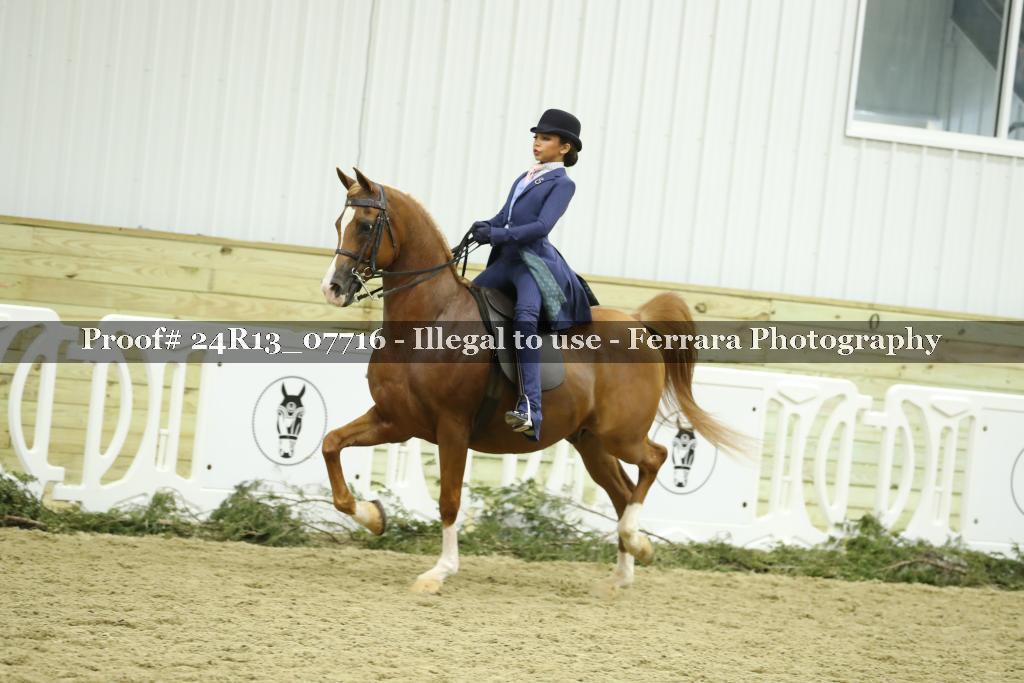 Proof 24R13_07716