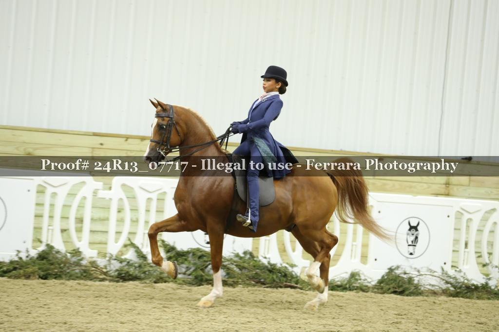 Proof 24R13_07717