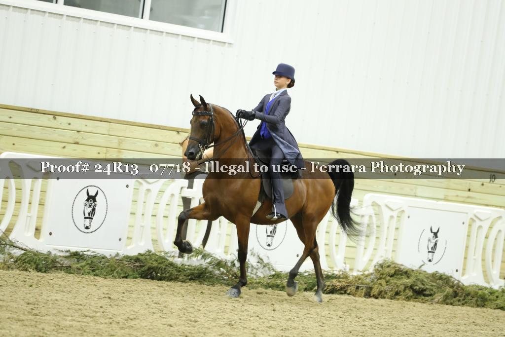 Proof 24R13_07718