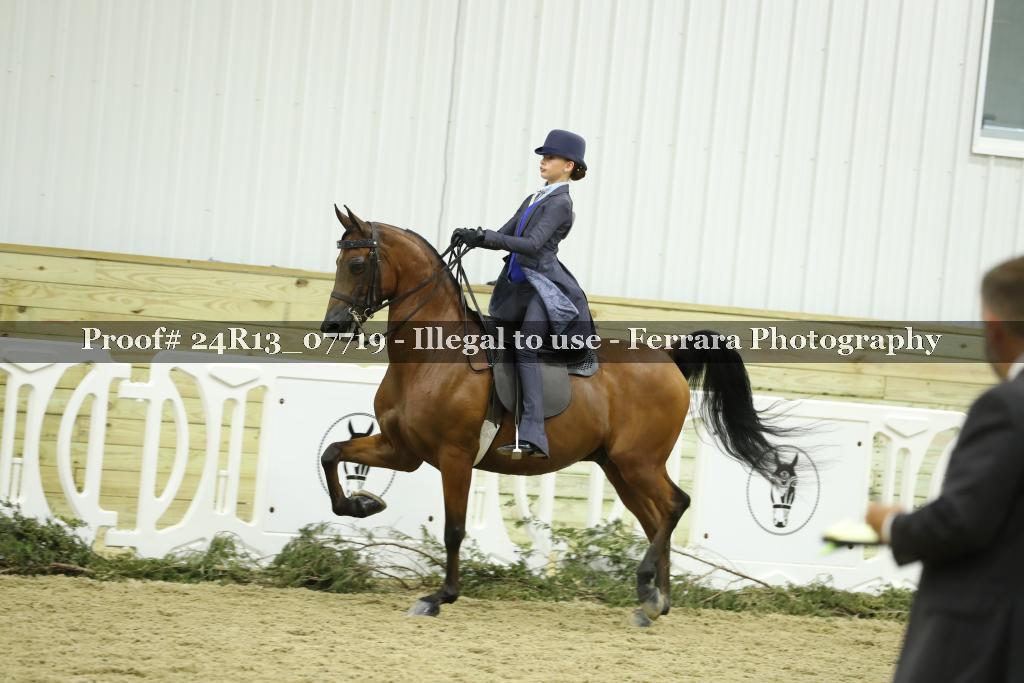 Proof 24R13_07719