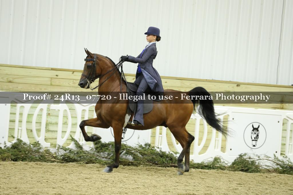 Proof 24R13_07720