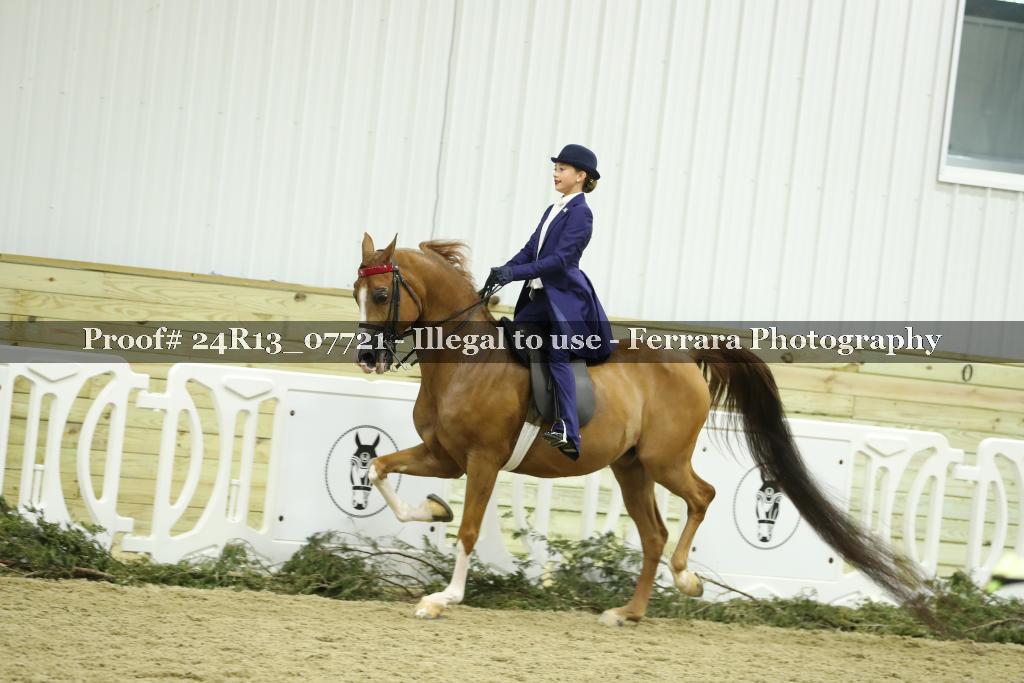 Proof 24R13_07721