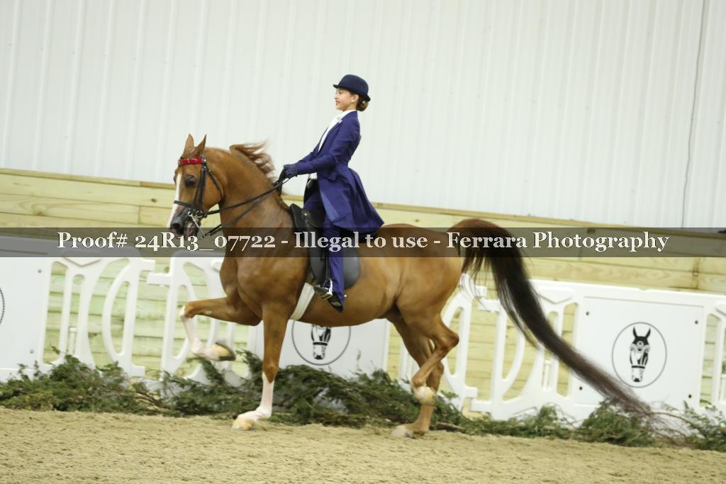 Proof 24R13_07722