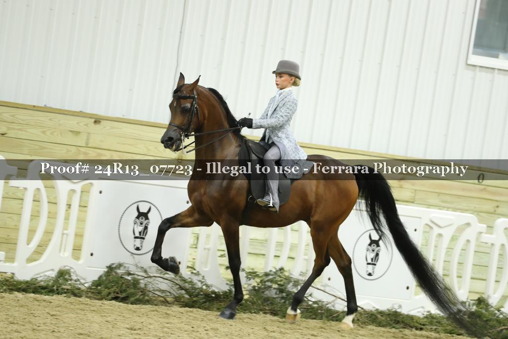 Proof 24R13_07723