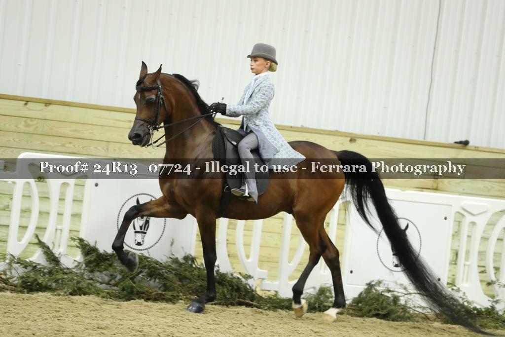 Proof 24R13_07724