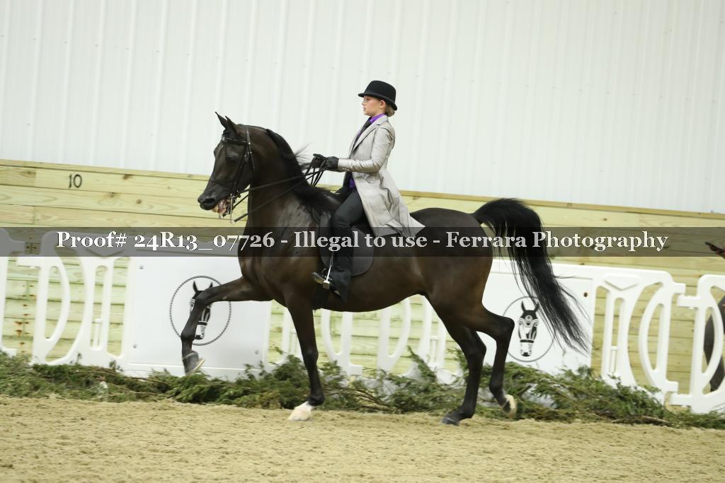 Proof 24R13_07726