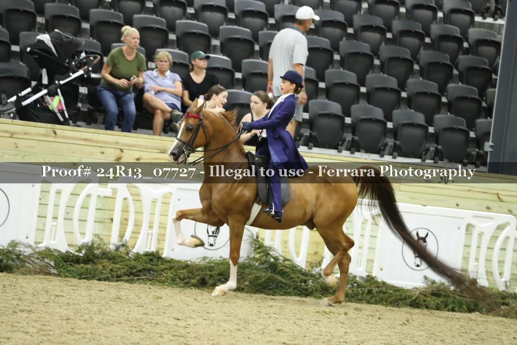 Proof 24R13_07727