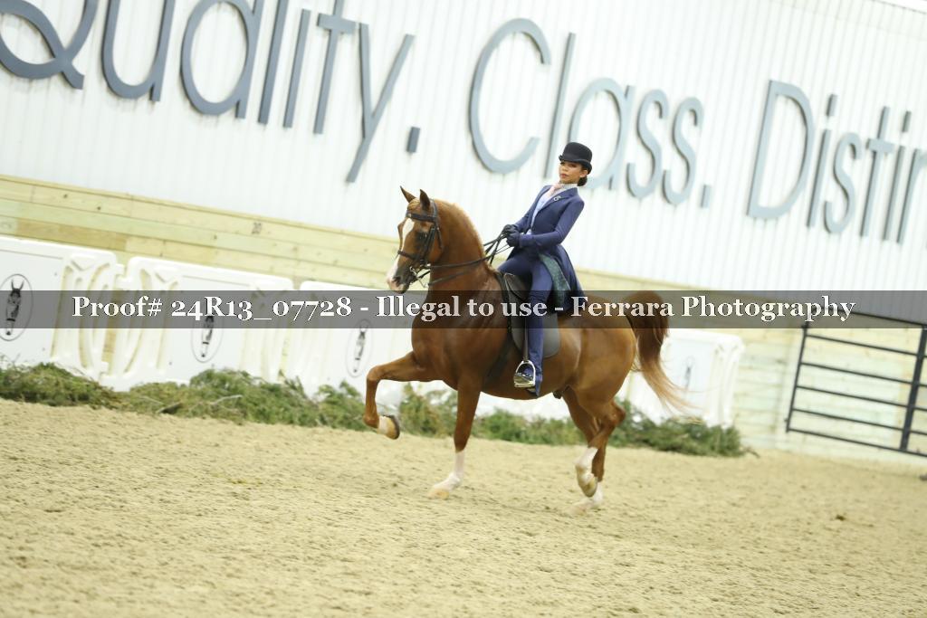 Proof 24R13_07728