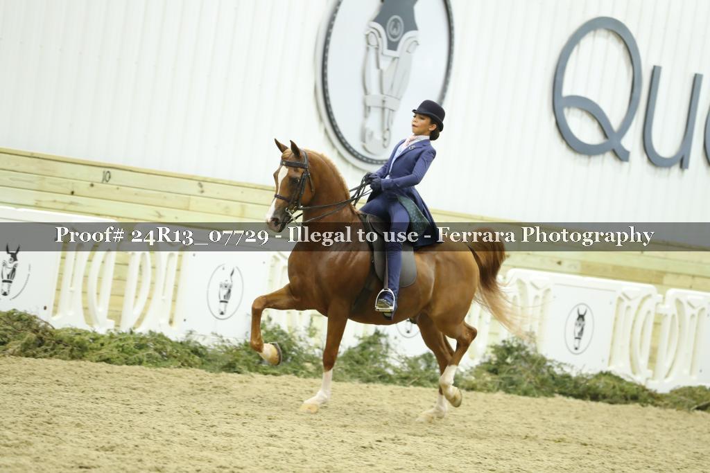 Proof 24R13_07729