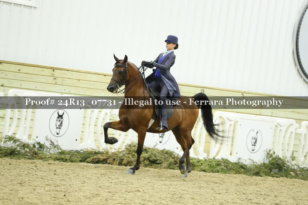 Proof 24R13_07731