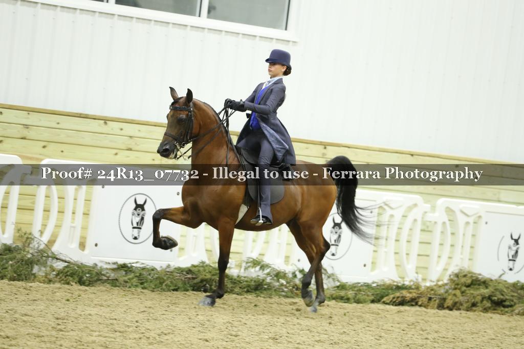 Proof 24R13_07732