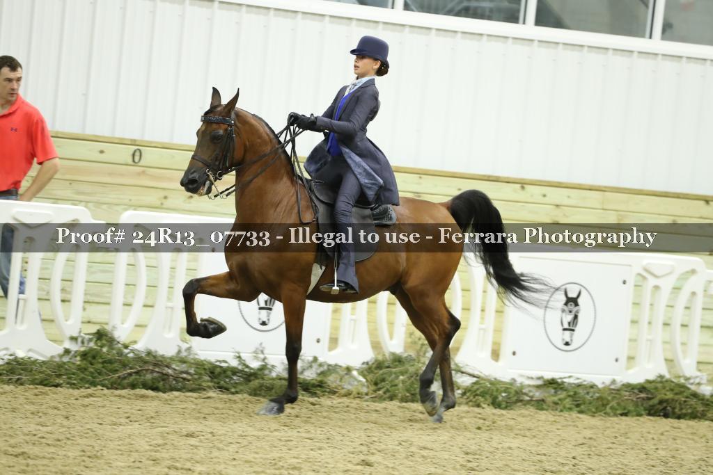 Proof 24R13_07733