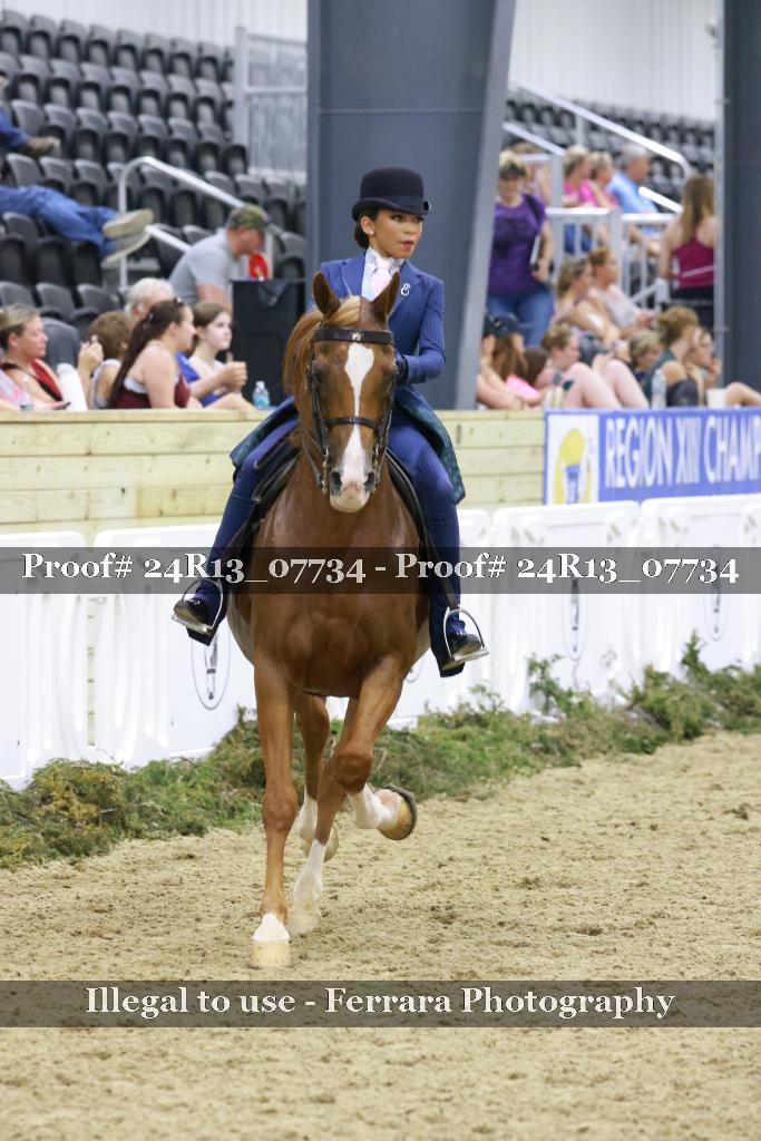 Proof 24R13_07734