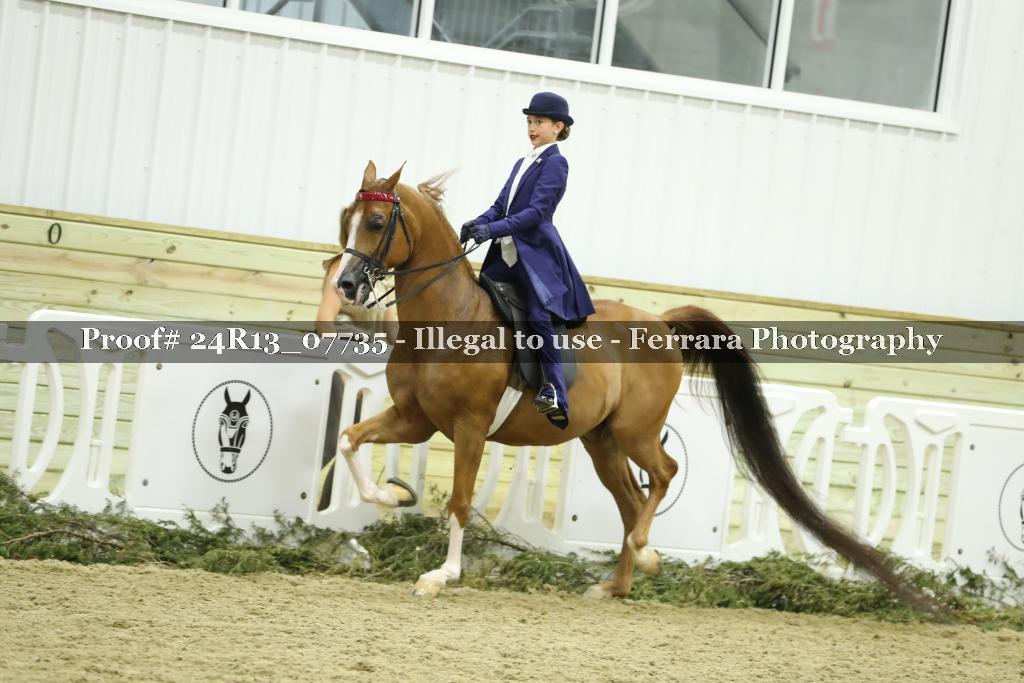 Proof 24R13_07735