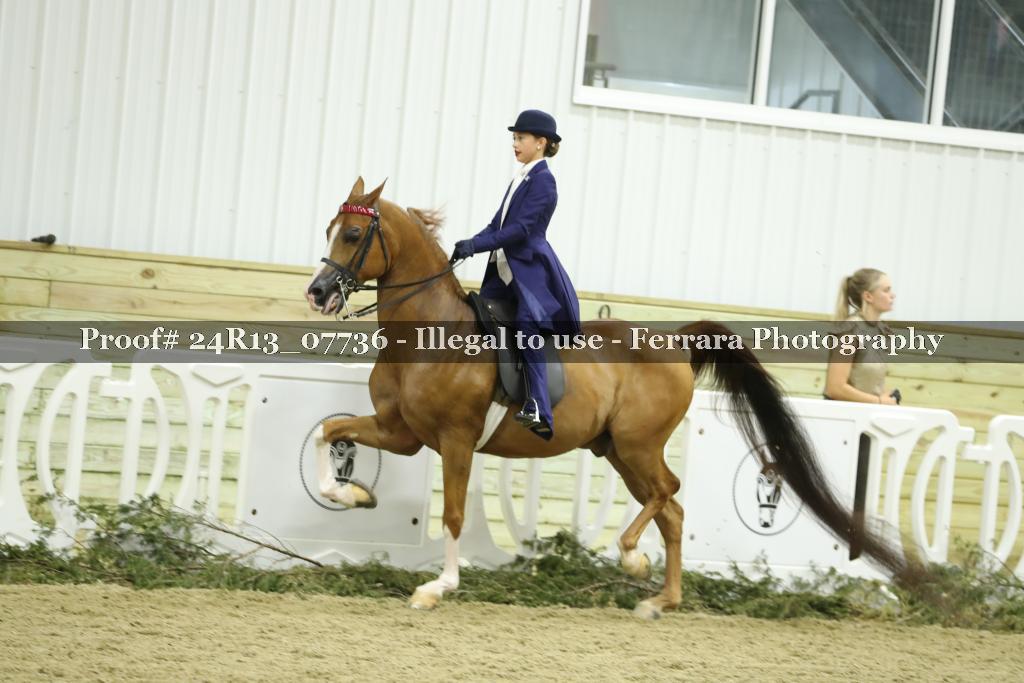 Proof 24R13_07736