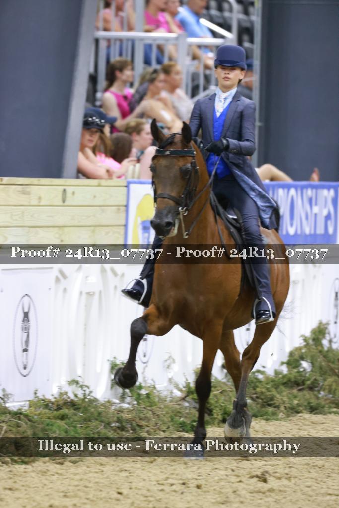 Proof 24R13_07737