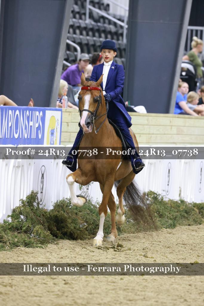 Proof 24R13_07738