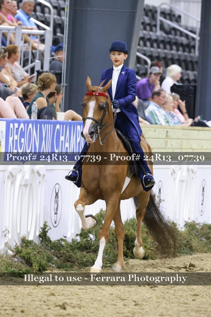 Proof 24R13_07739