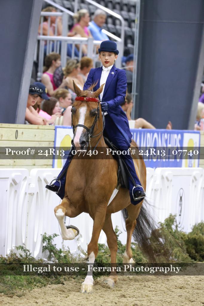 Proof 24R13_07740