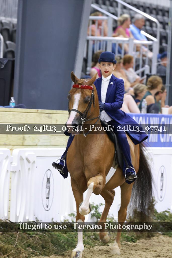 Proof 24R13_07741