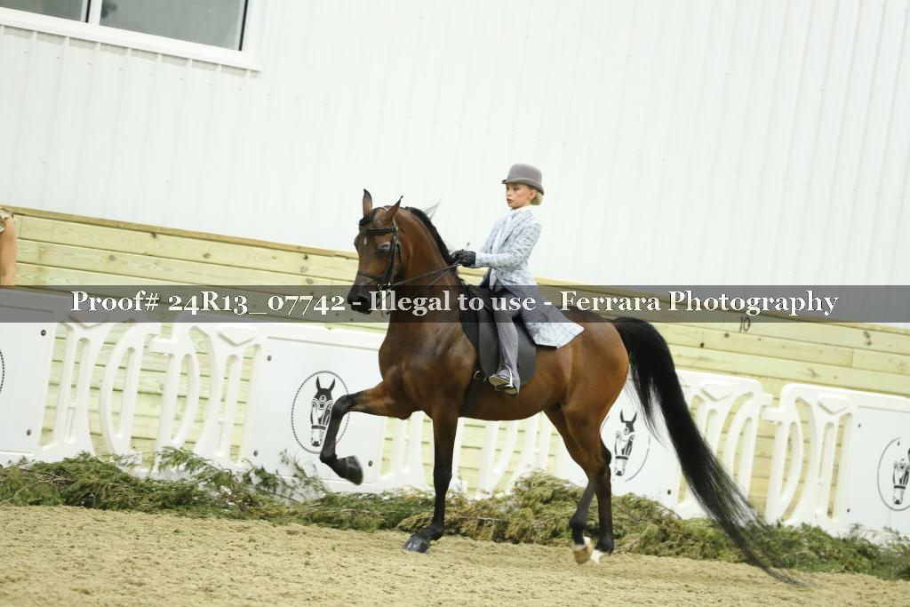 Proof 24R13_07742