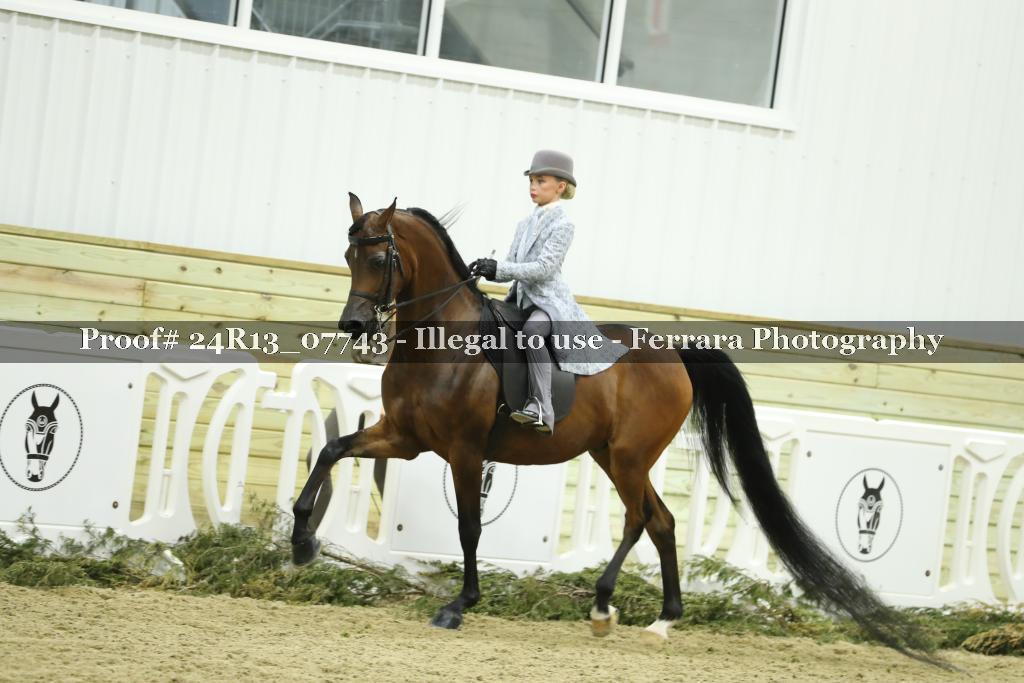 Proof 24R13_07743