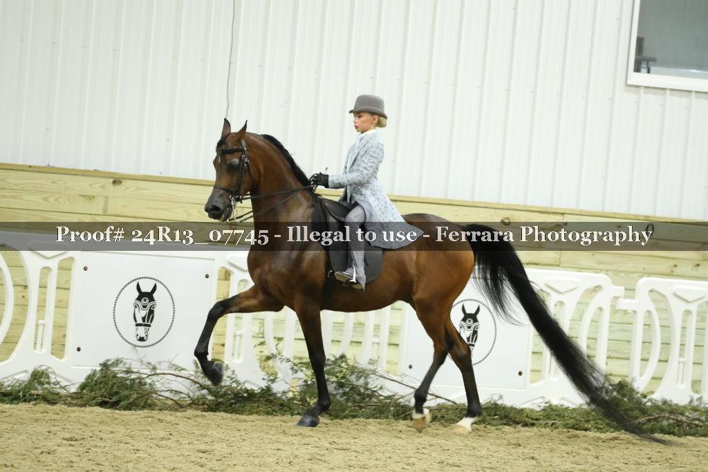 Proof 24R13_07745