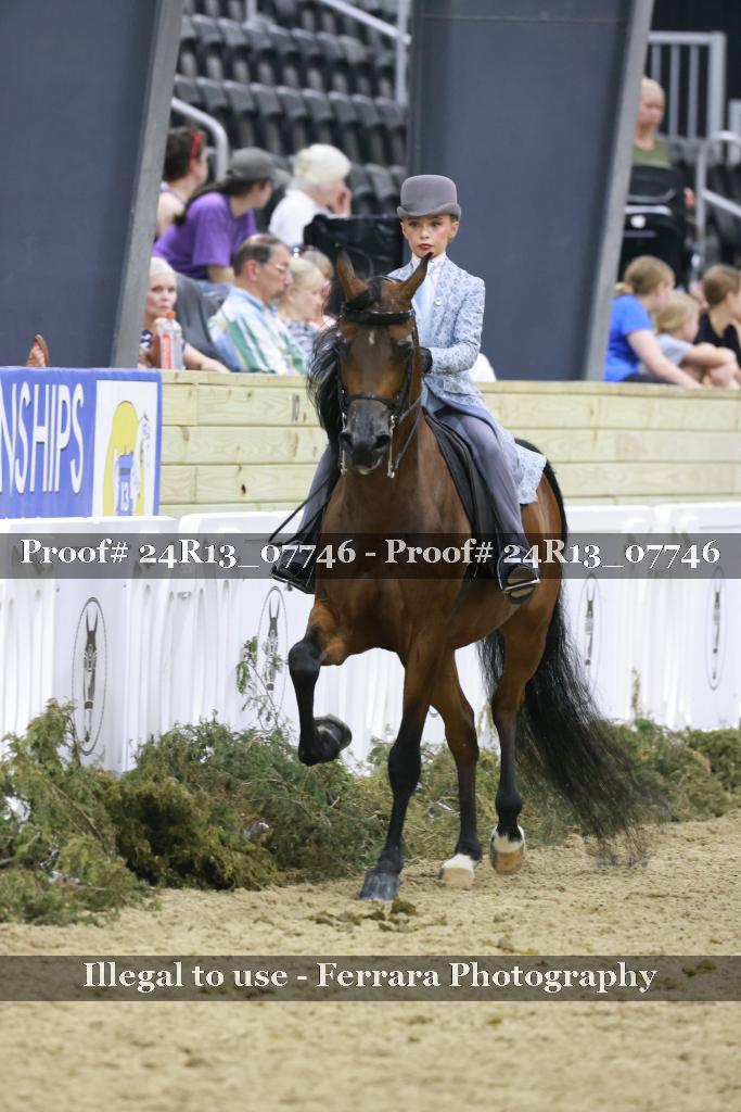 Proof 24R13_07746