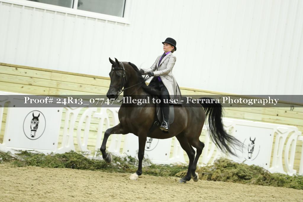 Proof 24R13_07747
