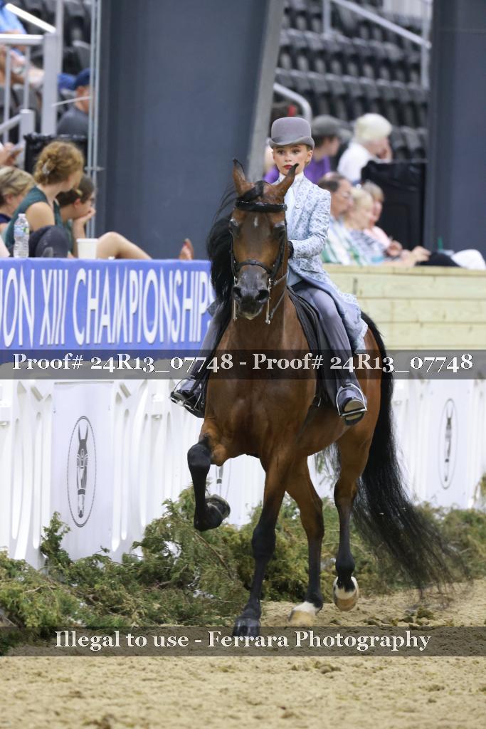 Proof 24R13_07748
