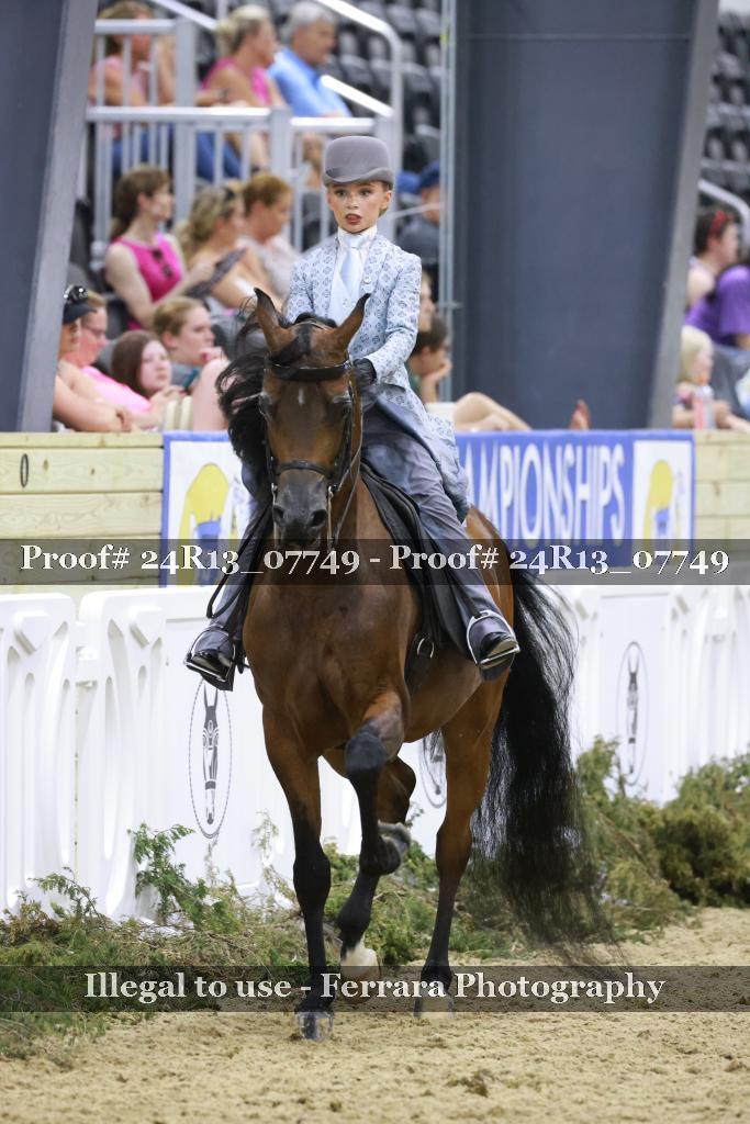 Proof 24R13_07749