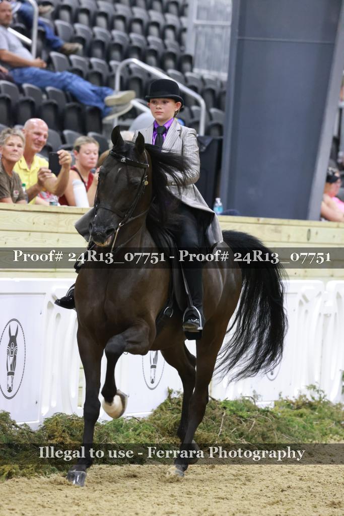 Proof 24R13_07751