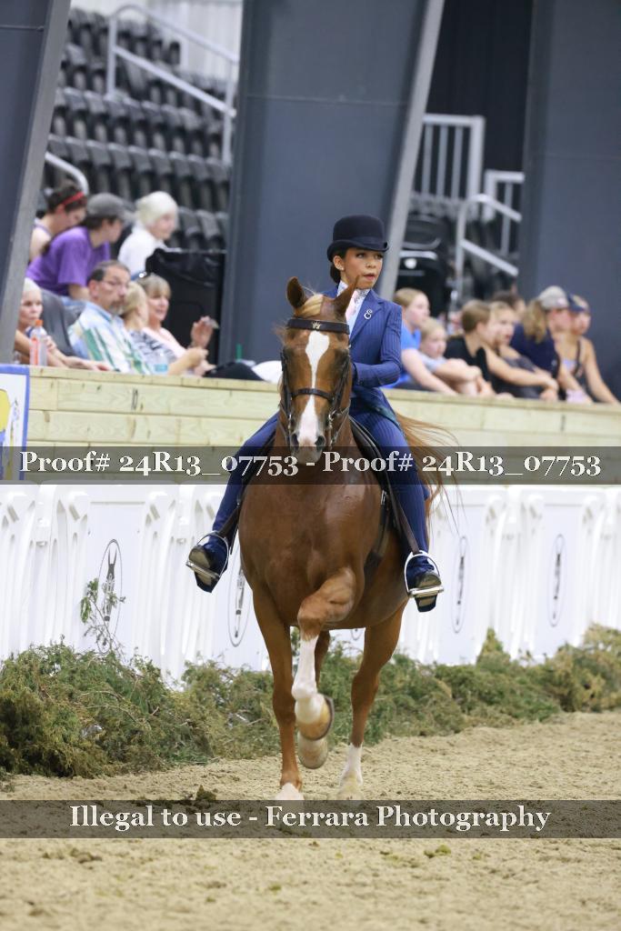 Proof 24R13_07753
