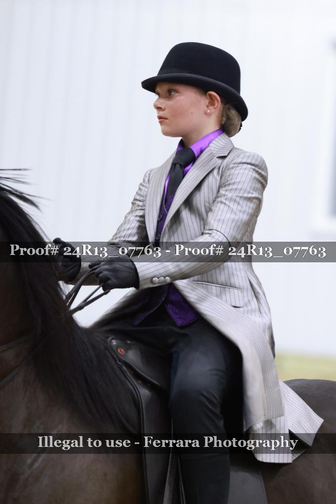 Proof 24R13_07763